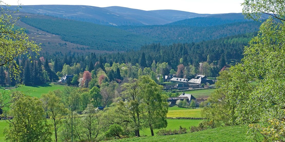 Summer view of Glen-Tanar