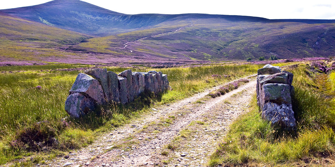 summer in scotland glen tanar