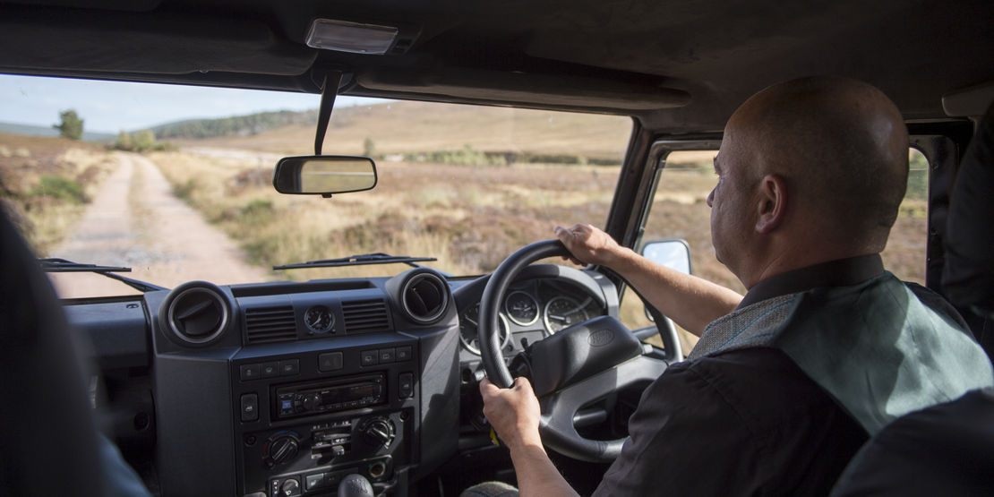 Estate Safaris at Glen Tanar